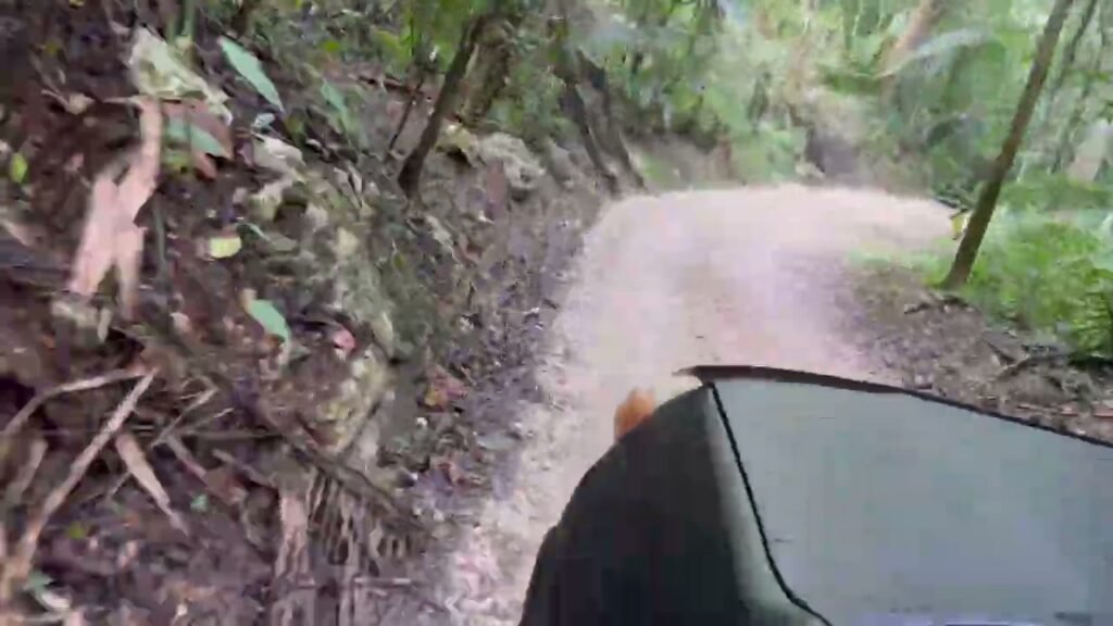 Vehicle navigating a winding dirt road through lush jungle foliage