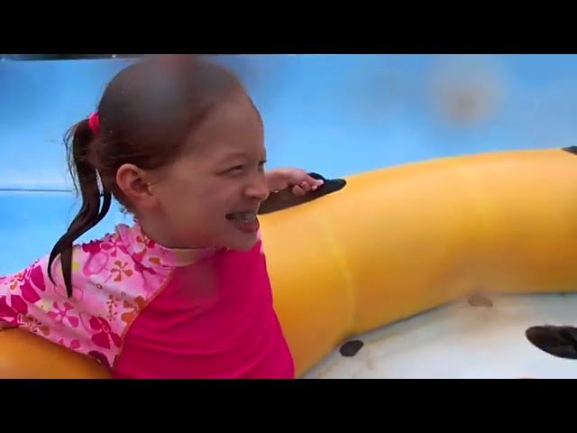A child smiles while sitting on a yellow inflatable tube with a blue background.