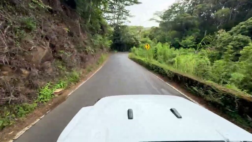 View from a car driving on a narrow road surrounded by dense green foliage. The hood of a white vehicle is visible in the lower part of the image.