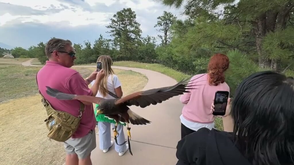 A group of people, including John and Kristie, are interacting with an eagle as it flies low near them on a rural path.