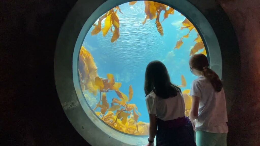 Two people look into a circular underwater window at a bright blue ocean scene filled with yellow kelp fronds.