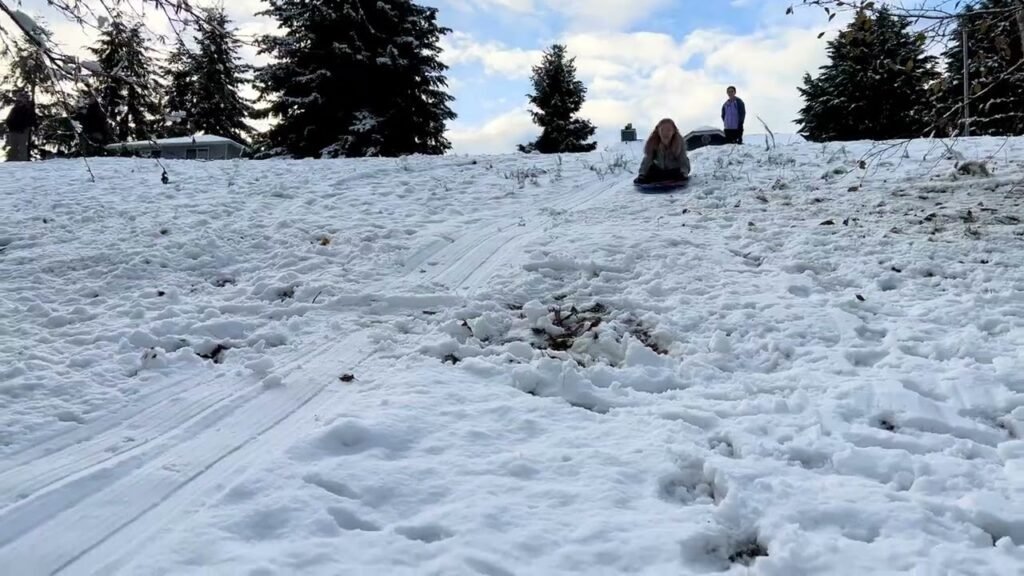 A snowy hillside with trekking poles and evergreen trees in the Pacific Northwest. Two hikers seen at the top of the slope.