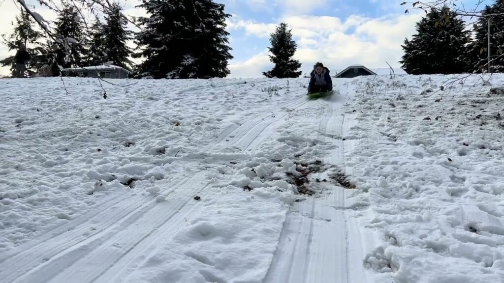 A person sledding down a steep, snowy hill bordered by evergreen trees and marked by grooves in the snow.