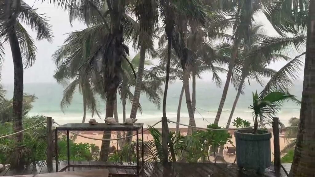 A hazy view of the ocean and sandy beach through swaying palm trees. A small deck with planted greenery frames the tropical shoreline.