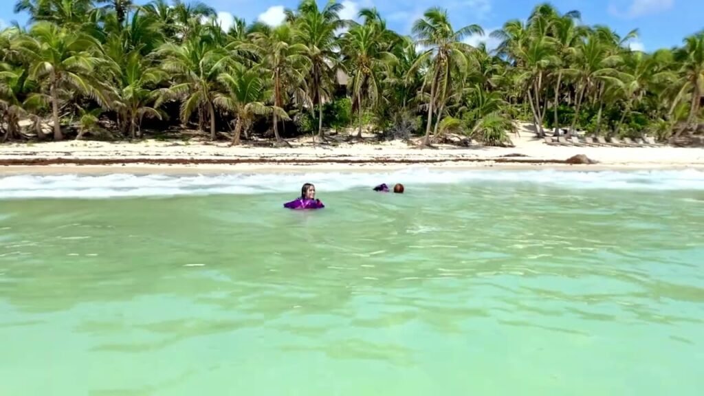 A person swims in crystal-clear water near a tropical beach lined with lush palm trees.