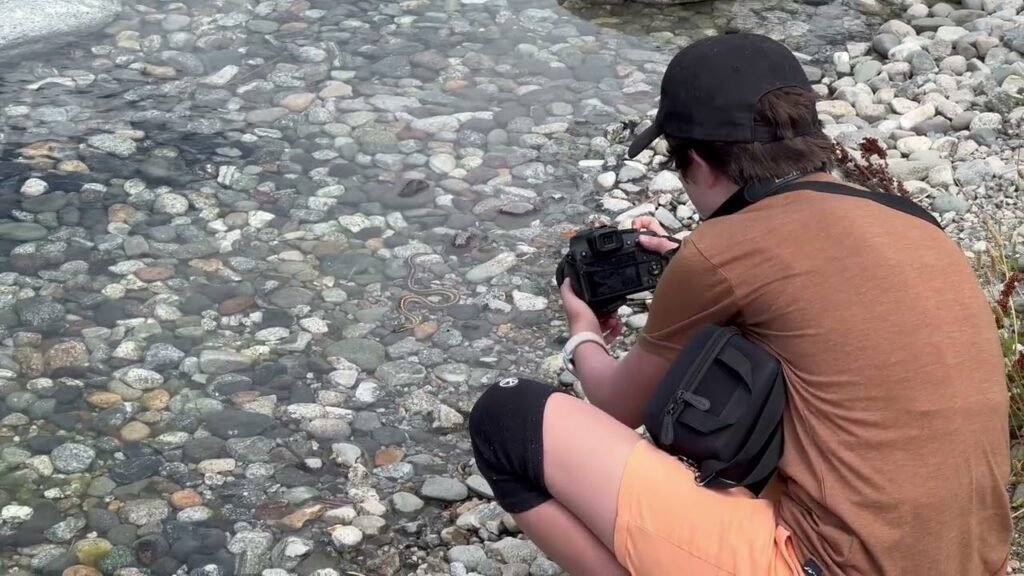 A person crouches by a stream with clear water over rocks, holding a camera.