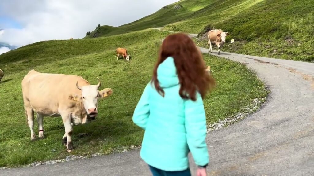 A person in a bright green jacket walks a gravel road next to grazing cows on a rolling hillside.