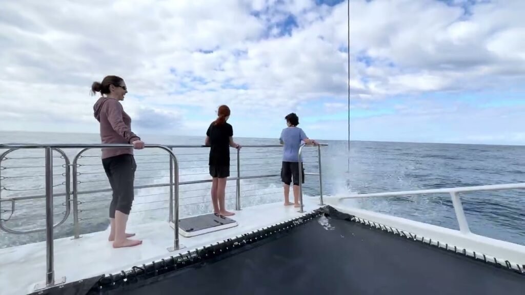 Three individuals prepare for a bungee jump from the deck of a cruise ship with the ocean visible in the background.