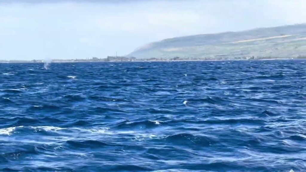 Rippling ocean waves under a misty sky with distant hills on the horizon.
