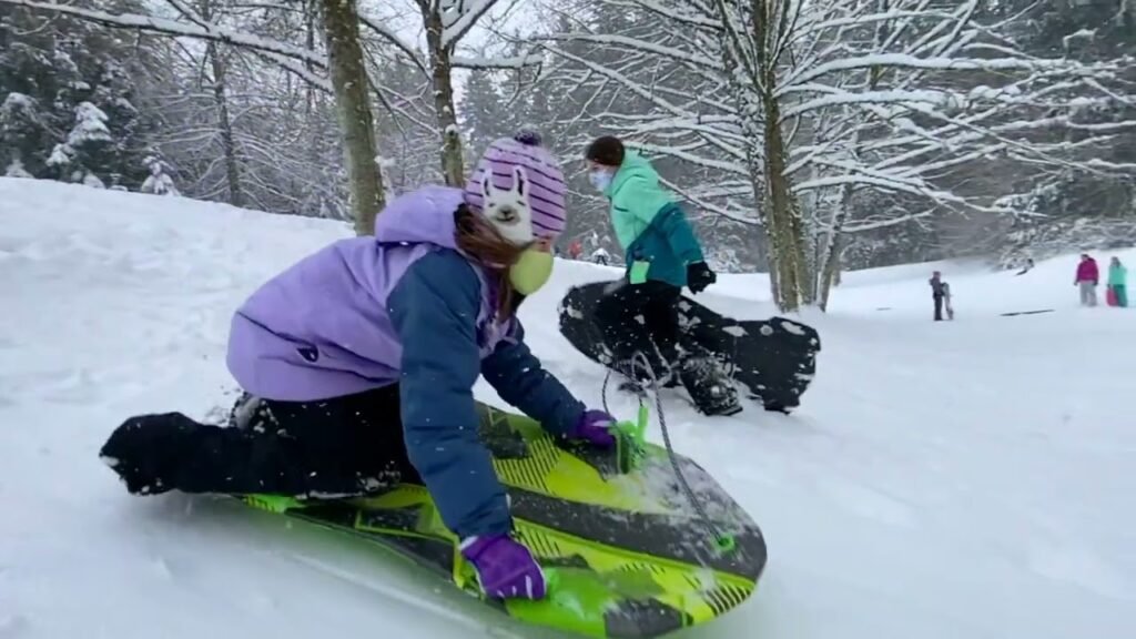 Children enjoy sledding on a snow-covered hill with trees in the background.