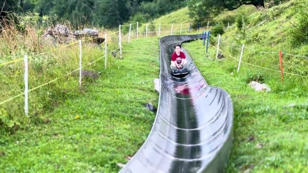 Rider on a downhill luge track winding through a lush green grassy area with a wire fence border.
