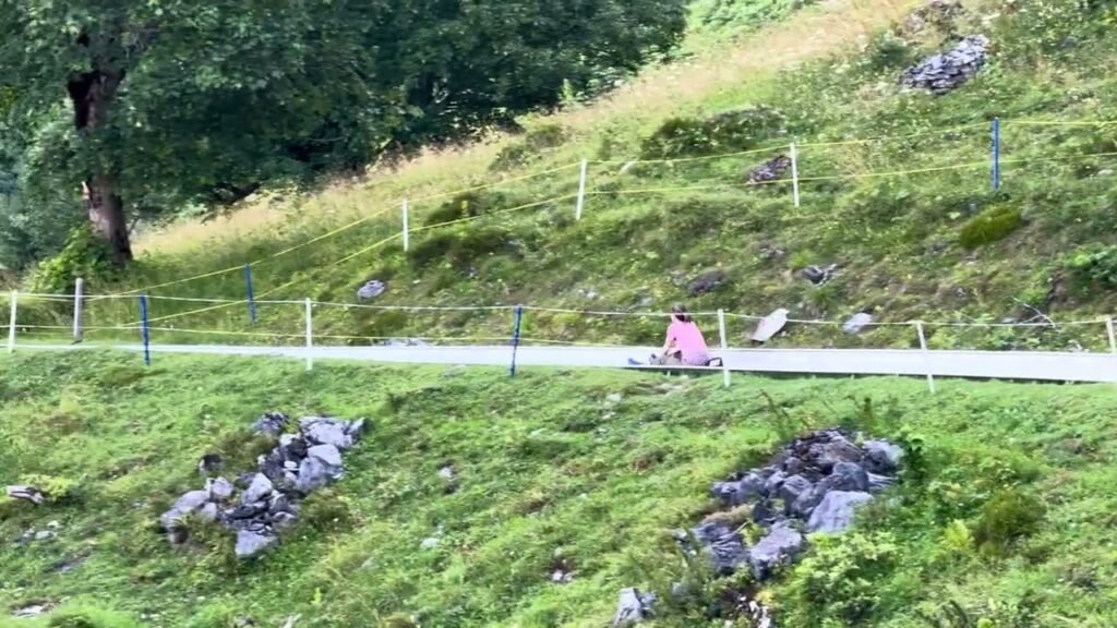 Long grassy hill with a small bridge over a stream.