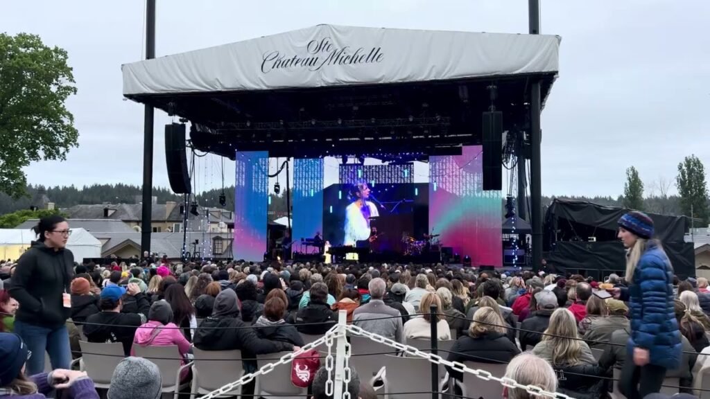 A large audience seated in front of an outdoor stage during a concert at the Vista Theatre.