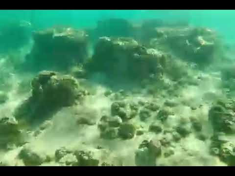A collage of underwater photos showing rocky formations in turquoise water. The scene captures the natural beauty beneath the ocean's surface.