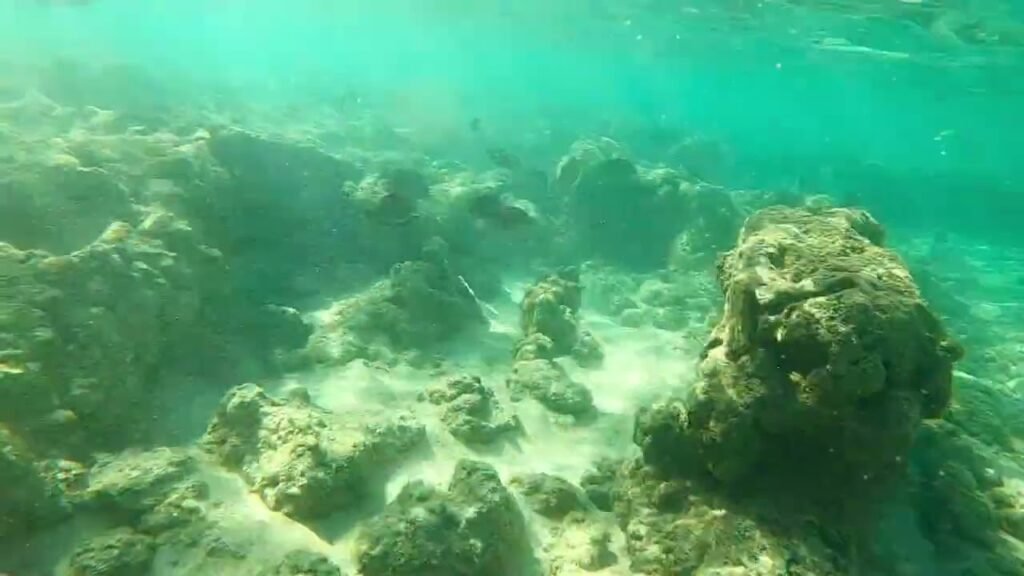 A collection of photos showing rocky underwater terrain beneath clear turquoise water.
