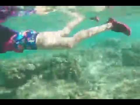 A person swims underwater with fins in crystal-clear turquoise water. A rocky seabed is visible below.
