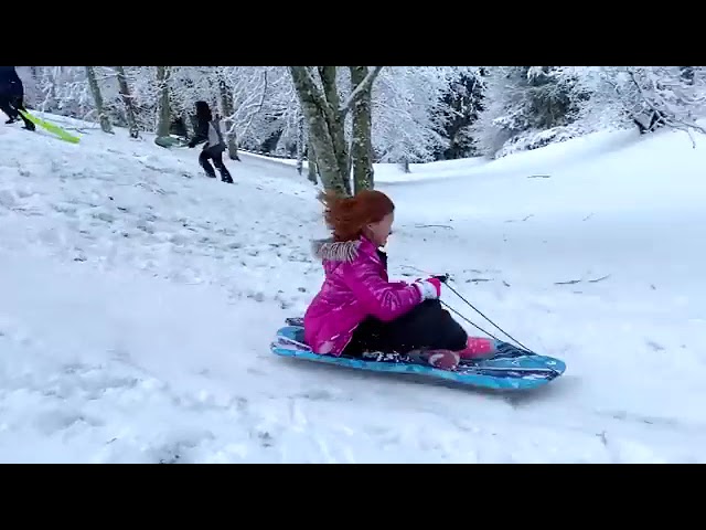 A person in a pink jacket rides a blue tube down a gentle snowy slope. The background features snow-covered trees and a serene winter landscape.