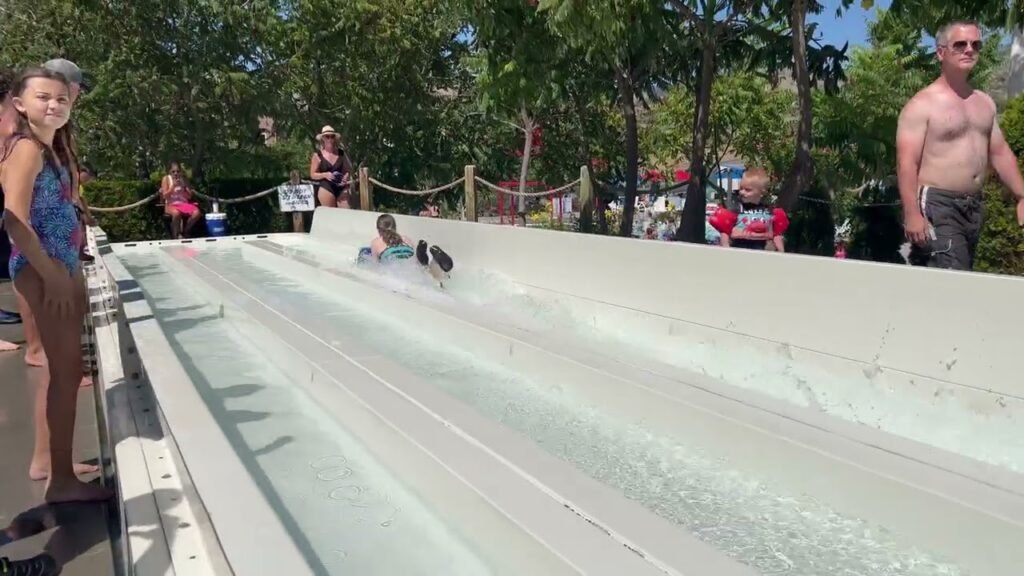 People enjoying a summer day at an outdoor water slide with trees in the background.