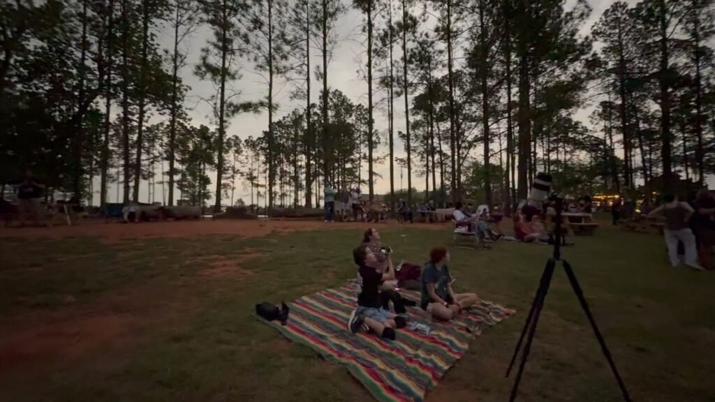 A family enjoying a sunset on a blanket in a park with tall pine trees in the background.