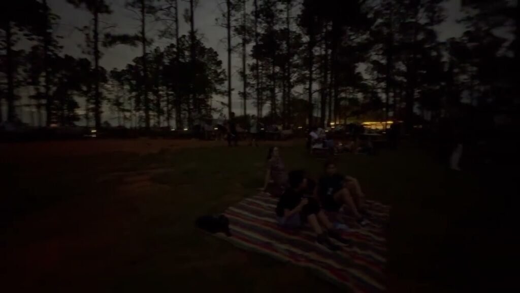 A group of people relaxes on a blanket under the dark forest canopy, illuminated by the distant glow of a campfire. The scene captures a serene camping atmosphere.
