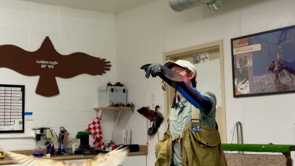 A wildlife rehabilitator holds a bald eagle in a treatment room, with a large wall graphic of a bird of prey.