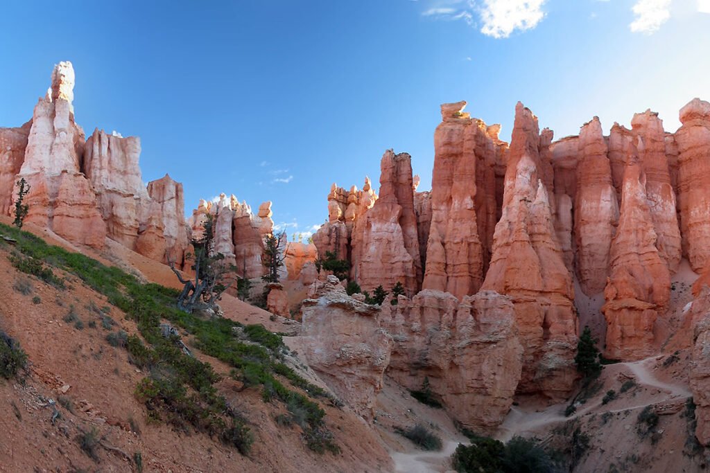 A picturesque view of a road leading towards the majestic red rock formations of Zion National Park. Lush green bushes line the side of the road, contrasting with the rugged landscape.